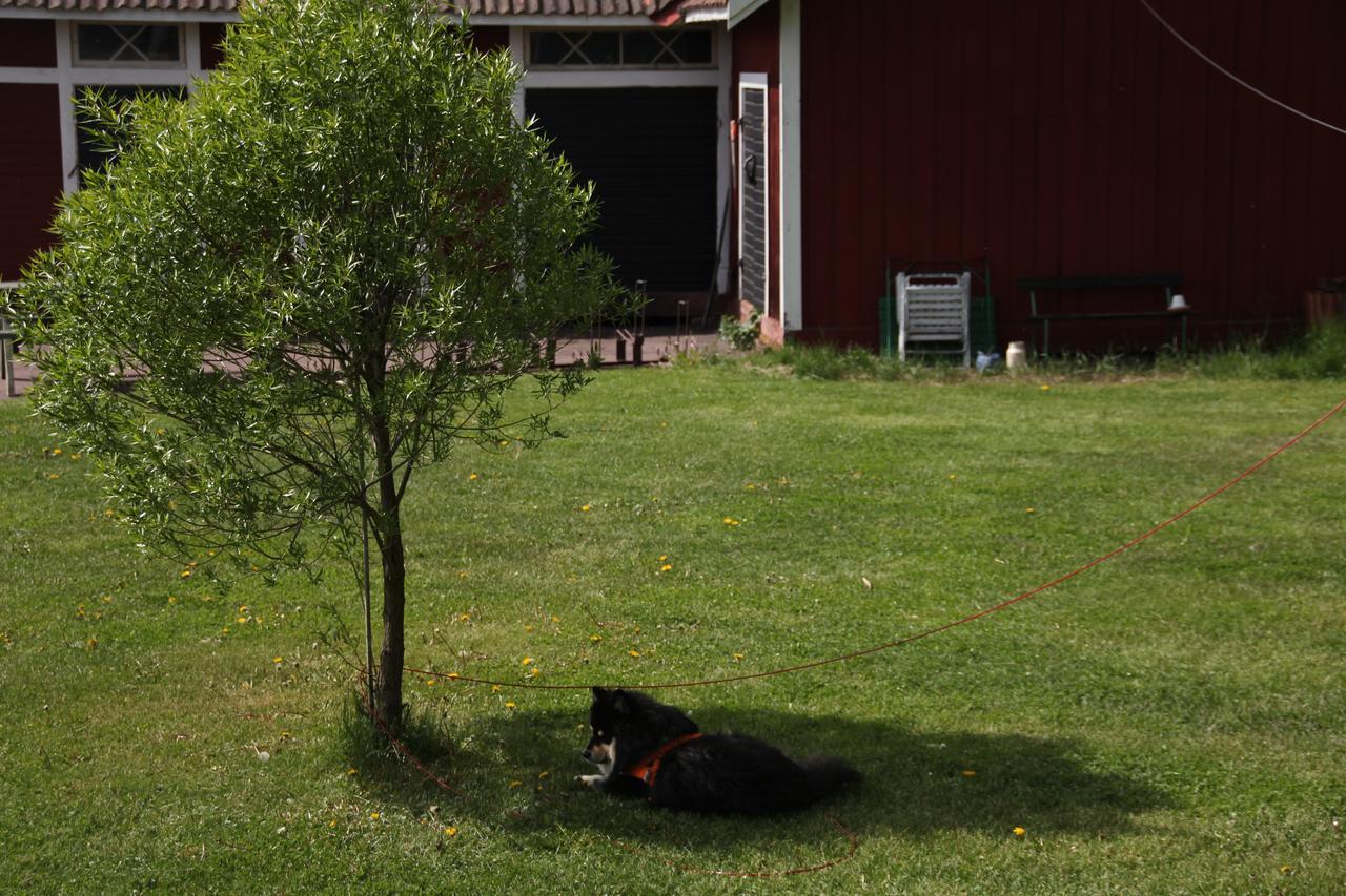 Mora Vandrarhem Och Gaesthem Vinäs 外观 照片
