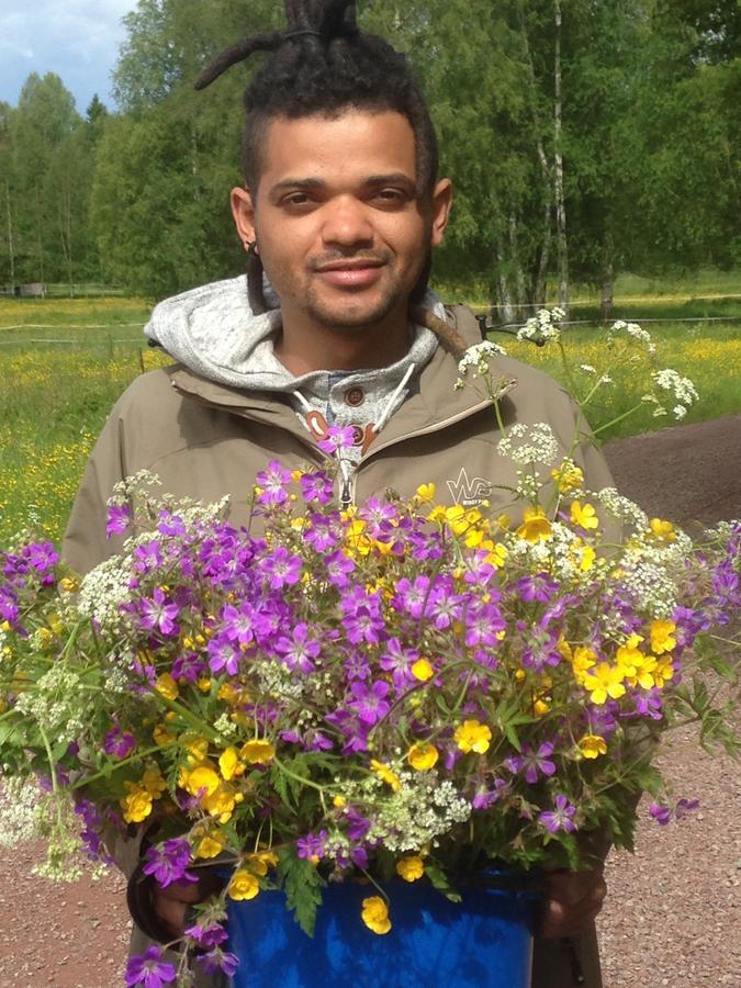 Mora Vandrarhem Och Gaesthem Vinäs 外观 照片