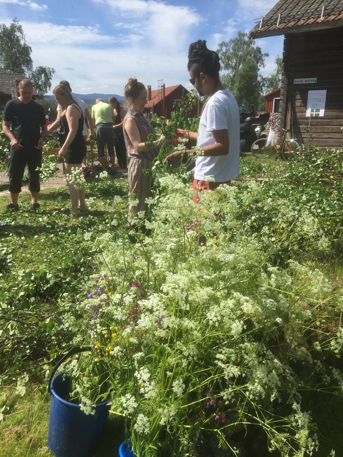 Mora Vandrarhem Och Gaesthem Vinäs 外观 照片